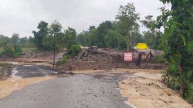 केवलारी क्षेत्र में पहली बारिश के बाद क्षतिग्रस्त हुई मोहबर्रा-सारसडोल सड़क और जेवनारा-पां. छपारा पुलिया