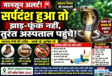सर्पदंश से बचाव को लेकर स्वास्थ्य विभाग की एडवाइजरी जारी