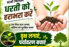 गौघाट धाम में वृक्षारोपण अभियान के दौरान पौधे लगाते पर्यावरण प्रेमी