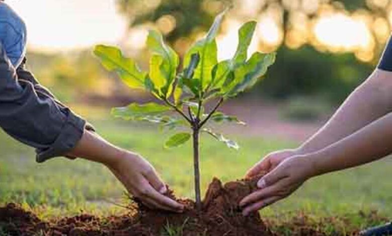 एकल अभियान के तहत ग्रामीणों को फलदार पौधे वितरित करते सामाजिक कार्यकर्ता