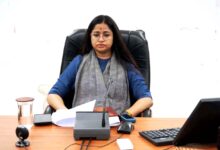सिवनी कलेक्ट्रेट में समय-सीमा बैठक की अध्यक्षता करतीं कलेक्टर नेहा मीना