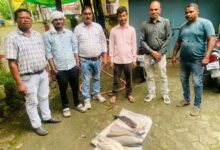 अवैध मछली कारोबार पर मत्स्य विभाग का बड़ा एक्शन, 12 किलो मछली जब्त | Dainik Yashonnati मंडला में अवैध मत्स्याखेट के खिलाफ कार्रवाई करते हुए मत्स्य विभाग की टीम