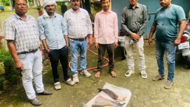 मंडला में अवैध मत्स्याखेट के खिलाफ कार्रवाई करते हुए मत्स्य विभाग की टीम