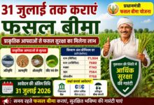 सिवनी जिले में खरीफ 2026 के लिए प्रधानमंत्री फसल बीमा योजना के अंतर्गत किसानों को फसल बीमा की जानकारी देते कृषि विभाग के अधिकारी