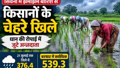 सिवनी में झमाझम बारिश से किसानों के चेहरे खिले, धान की रोपाई में जुटे अन्नदाता | Dainik Yashonnati सिवनी में बारिश के बाद धान की रोपाई करते किसान