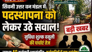 सिवनी उत्तर वन मंडल कार्यालय, जहां पदस्थापना प्रक्रिया को लेकर सुविधा शुल्क वसूली की चर्चाएं सामने आई हैं।