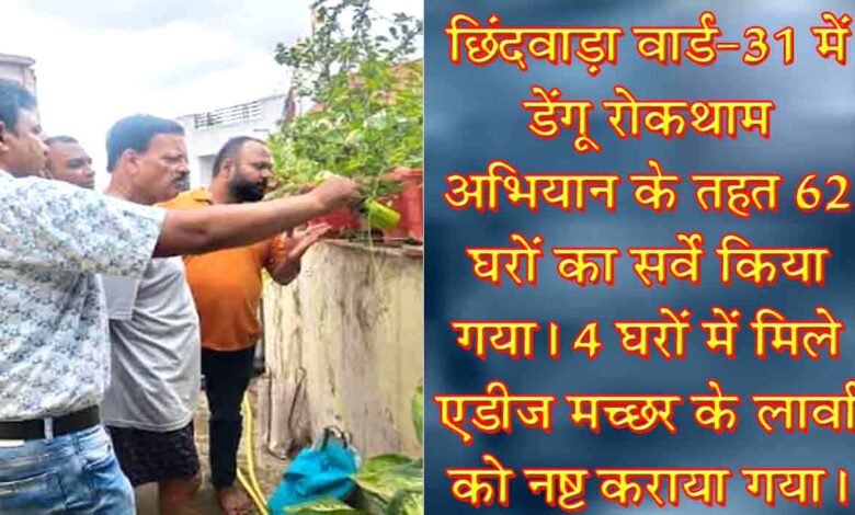 छिंदवाड़ा में डेंगू रोकथाम अभियान के दौरान घरों में एडीज मच्छर के लार्वा की जांच करते स्वास्थ्यकर्मी