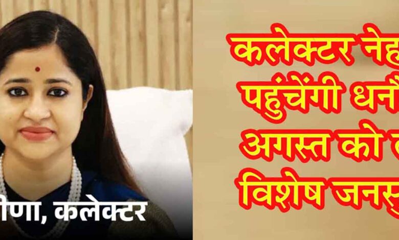 सिवनी कलेक्टर नेहा मीना धनौरा में विशेष जनसुनवाई करते हुए