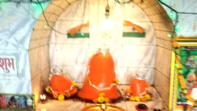 सिवनी में नाग पंचमी पर चौरसिया दिवस के आयोजन की तैयारी