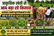 सिवनी के धोबीसर्रा में प्राकृतिक खेती कर रहे किसानों के खेतों का अवलोकन करते कलेक्टर नेहा मीना और एसपी कृष्ण लालचंदानी