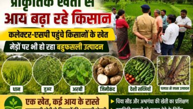 सिवनी के धोबीसर्रा में प्राकृतिक खेती कर रहे किसानों के खेतों का अवलोकन करते कलेक्टर नेहा मीना और एसपी कृष्ण लालचंदानी