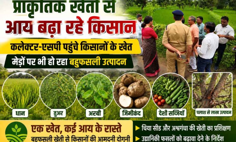 प्राकृतिक खेती से आय बढ़ा रहे किसानों के खेत पहुंचे कलेक्टर-एसपी, मेड़ों पर भी हो रहा बहुफसली उत्पादन | Dainik Yashonnati सिवनी के धोबीसर्रा में प्राकृतिक खेती कर रहे किसानों के खेतों का अवलोकन करते कलेक्टर नेहा मीना और एसपी कृष्ण लालचंदानी
