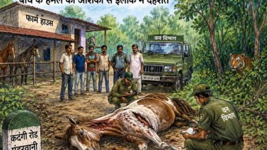 फार्म हाउस में पालतू घोड़े का शिकार! बाघ के हमले की आशंका से इलाके में दहशत, वन विभाग जांच में जुटा | Dainik Yashonnati सिवनी के पंडरवानी गांव में फार्म हाउस के पास जंगल किनारे मृत मिला पालतू घोड़ा, बाघ के हमले की आशंका के बाद जांच करती वन विभाग की टीम