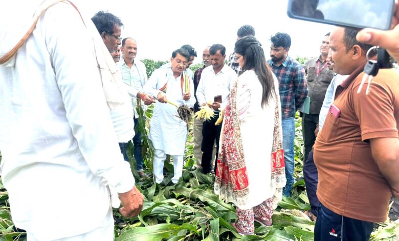 कान्हीवाड़ा में तेज आंधी बारिश से गिरी मक्के की फसल का निरीक्षण