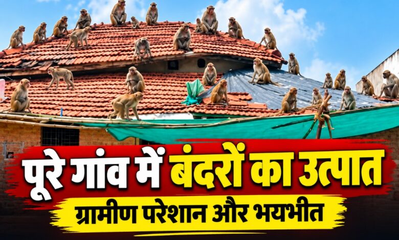 नंदौरा गांव में बंदरों के आतंक से परेशान ग्रामीण
