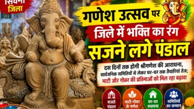 सिवनी जिले में गणेश उत्सव के लिए तैयार होती भगवान श्रीगणेश की प्रतिमाएं