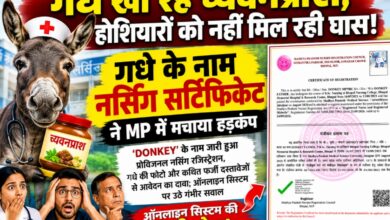 गधे के नाम जारी नर्सिंग रजिस्ट्रेशन प्रमाण-पत्र
