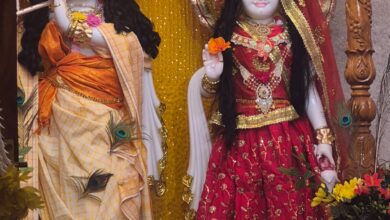 द्वारकाधीश मंदिर सीलादेही आश्रम में तीन दिवसीय श्रीकृष्ण जन्मोत्सव का दिव्य आयोजन | Dainik Yashonnati सिवनी शीलादेही द्वारकाधीश मंदिर में श्रीकृष्ण जन्मोत्सव