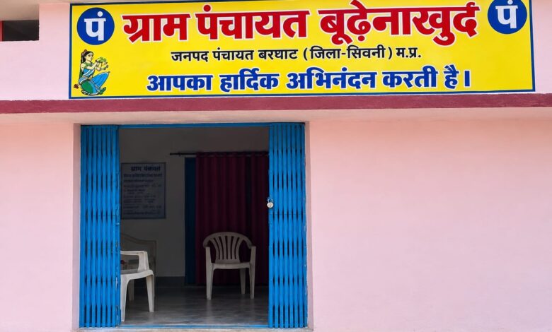 बूढ़ेनाखुर्द पंचायत के पंचायत दर्पण वित्तीय रिकॉर्ड पर उठे सवाल
