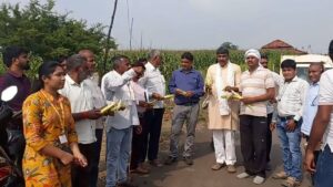 मक्का फसल नुकसान के सर्वे को लेकर किसानों ने पारदर्शिता की मांग की