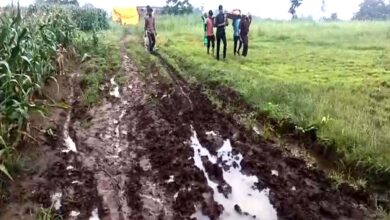 अमरवाड़ा में प्रसव पीड़िता को चारपाई पर ले जाना पड़ा, सड़क पर कीचड़ से एंबुलेंस बेबस