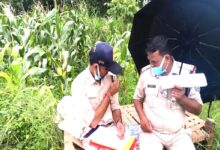 छपारा के जूनापानी में लापता व्यक्ति वीरन इनवाती का खेत में मिला शव