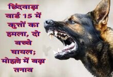 छिंदवाड़ा के वार्ड 15 में कुत्तों की समस्या से परेशान रहवासी