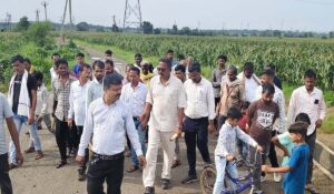 सिवनी विधायक दिनेश राय मुनमुन प्रभावित मक्का फसल का खेत में जायजा लेते हुए