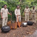 अवैध शराब के खिलाफ कार्रवाई, 4 क्विंटल महुआ लहान नष्ट | Dainik Yashonnati डूण्डासिवनी पुलिस द्वारा बरामद महुआ लहान