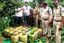 डूण्डासिवनी पुलिस द्वारा बरामद महुआ लहान
