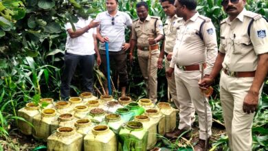 अवैध शराब के खिलाफ कार्रवाई, 4 क्विंटल महुआ लहान नष्ट | Dainik Yashonnati डूण्डासिवनी पुलिस द्वारा बरामद महुआ लहान
