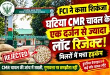 FCI की सख्ती से चावल मिलरों में मचा हड़कंप, घटिया गुणवत्ता के एक दर्जन से ज्यादा लॉट रिजेक्ट! | Dainik Yashonnati FCI सिवनी डिपो में CMR चावल की गुणवत्ता जांच