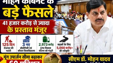 MP Cabinet Decisions 2026