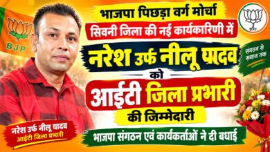 भाजपा पिछड़ा वर्ग मोर्चा आईटी जिला प्रभारी नरेश उर्फ नीलू यादव