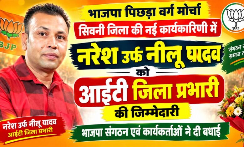 भाजपा पिछड़ा वर्ग मोर्चा आईटी जिला प्रभारी नरेश उर्फ नीलू यादव