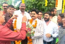 कॉलेज को मिला भव्य प्रवेश द्वार, विधायक दिनेश राय ‘मुनमुन’ ने किया लोकार्पण; सड़क के लिए 8 लाख की घोषणा | Dainik Yashonnati सिवनी प्रधानमंत्री कॉलेज ऑफ एक्सीलेंस में प्रवेश द्वार का लोकार्पण करते विधायक दिनेश राय मुनमुन