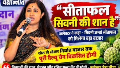 सिवनी जम्बो सीताफल को निर्यात बाजार से जोड़ने के लिए आयोजित कार्यशाला