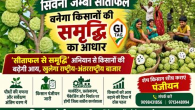 सिवनी जम्बो सीताफल जीआई टैग किसान