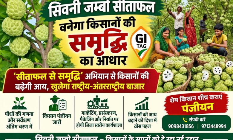 सिवनी जम्बो सीताफल जीआई टैग किसान