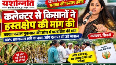 कलेक्टर से किसानों की गुहार—मक्का फसल नुकसान की जांच में हस्तक्षेप करें, हमारी मौजूदगी में हो सर्वे और बने रिपोर्ट | Dainik Yashonnati मक्का फसल नुकसान के सर्वे को लेकर किसानों ने पारदर्शिता की मांग की