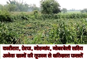 सिवनी में अतिवृष्टि से प्रभावित मक्का की फसल और भाजपा किसान मोर्चा जिलाध्यक्ष प्रदीप राय