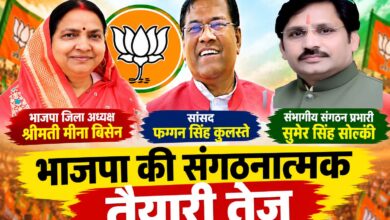 सिवनी में सेवा संकल्प अभियान की तैयारियों को लेकर भाजपा की जिला कार्यसमिति और कार्यशाला