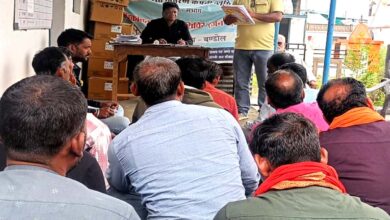 बंडोल में 11 केवी फीडर लाइन मेंटेनेंस कार्य