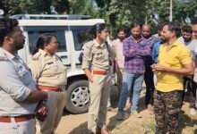 छपारा सीताफल मंडी में वन विभाग की कार्रवाई के दौरान जब्त सीताफल