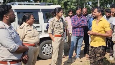 छपारा सीताफल मंडी में वन विभाग की कार्रवाई के दौरान जब्त सीताफल