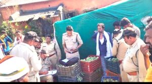 छपारा सीताफल मंडी में वन विभाग की कार्रवाई के दौरान जब्त सीताफल