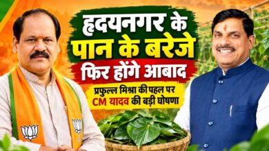 मुख्यमंत्री डॉ. मोहन यादव को पान की बेल का पौधा भेंट करते भाजपा जिलाध्यक्ष प्रफुल्ल मिश्रा