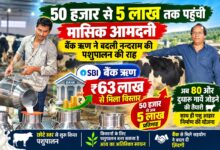 50 हजार से 5 लाख तक पहुंची मासिक आमदनी, बैंक ऋण ने बदली नन्दराम की पशुपालन की राह | Dainik Yashonnati सिवनी के जमूनिया निवासी नन्दराम बघेले का डेयरी एवं पशुपालन व्यवसाय