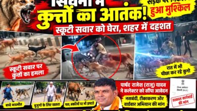 सिवनी में आवारा कुत्तों का आतंक: स्कूटी सवार को घेरा, मॉर्निंग वॉक से रात तक दहशत | Dainik Yashonnati सिवनी में स्कूटी सवार पर आवारा कुत्तों के झुंड के हमले का दृश्य