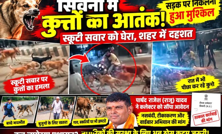 सिवनी में स्कूटी सवार पर आवारा कुत्तों के झुंड के हमले का दृश्य